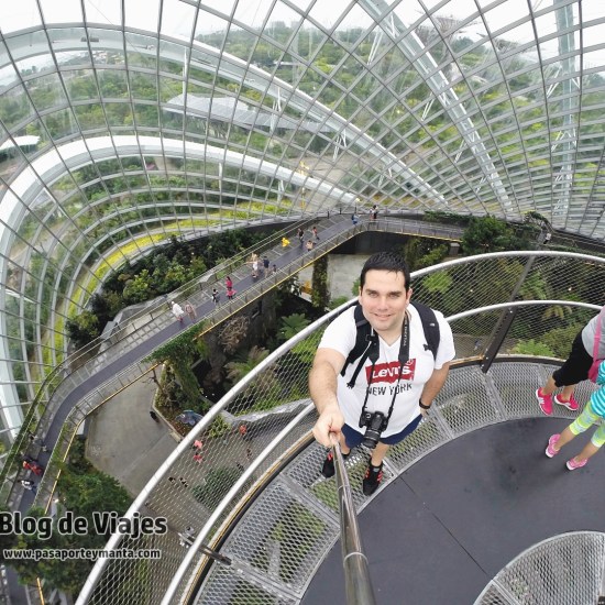 singapur-gardens-by-the-bay-cloud-forest