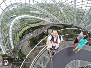 singapur-gardens-by-the-bay-cloud-forest