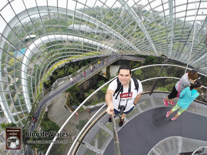 singapur-gardens-by-the-bay-cloud-forest