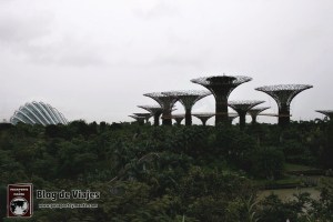 singapur-gardens-by-the-bay-supertree