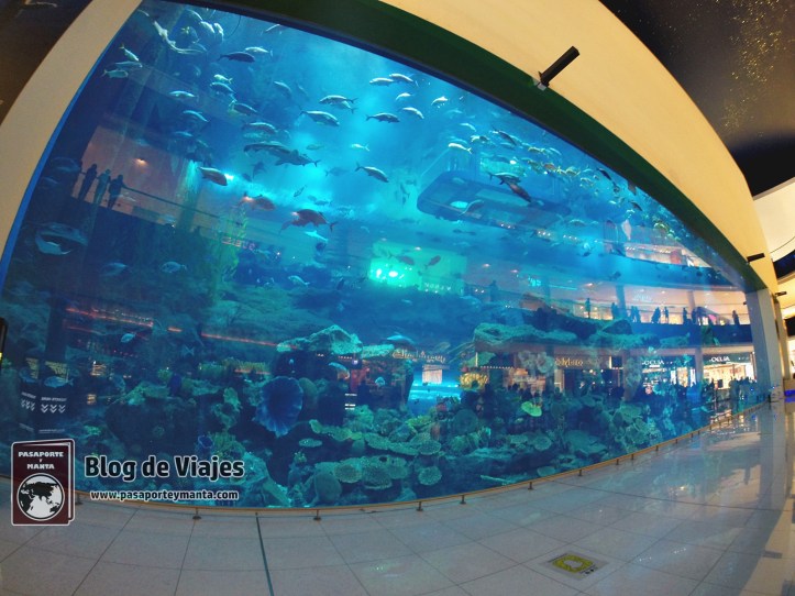 Emiratos Arabes Unidos - Dubai (5)-mod