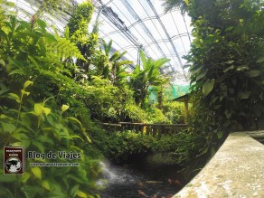 Kuala Lumpur - Buterfly Park-mod