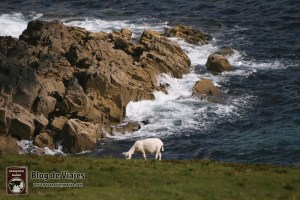 Skye - Neist Point